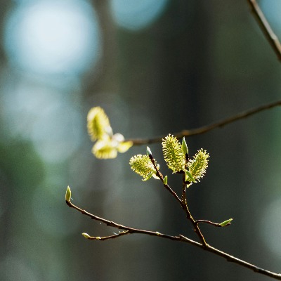 春喚身心 · 與春日共享療癒時光